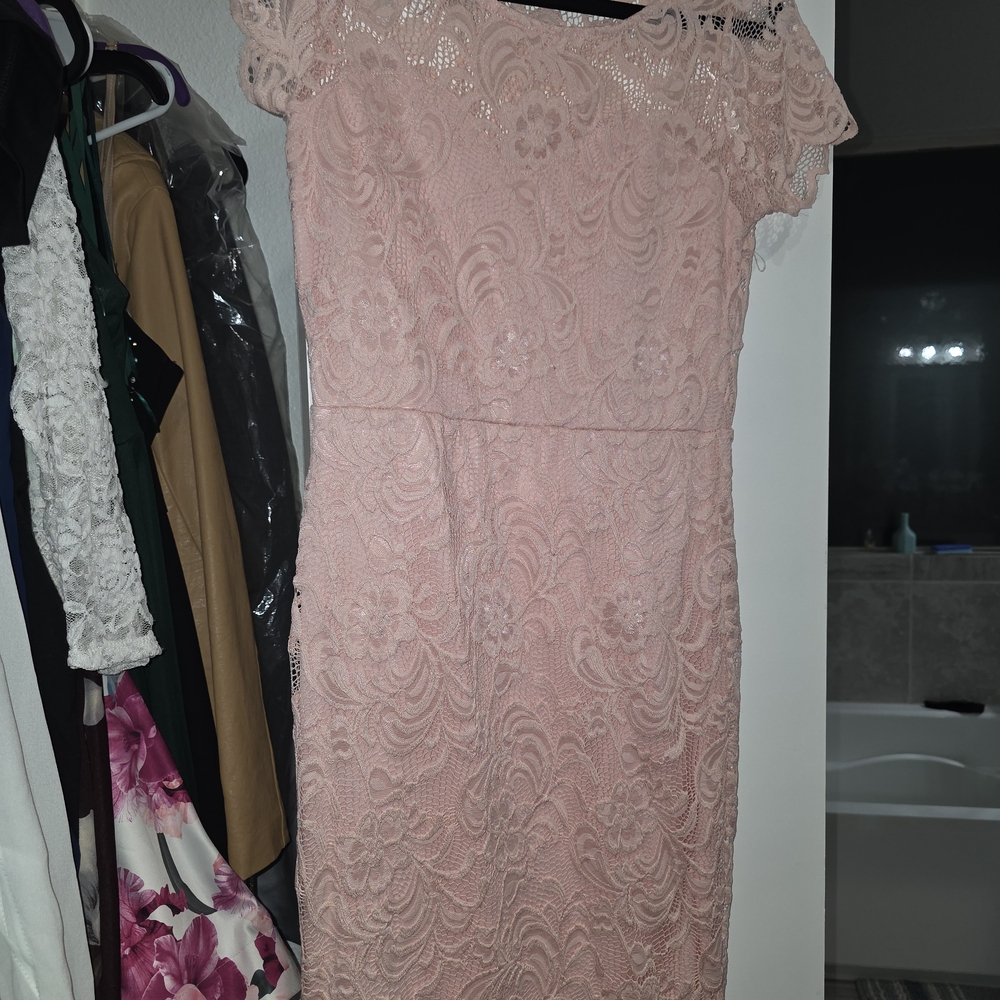 Ambiance Blush Lace Midi Dress
